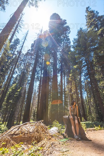 A woman in Giant trees in a meadow of Sequoia National Park