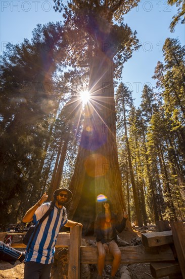 A couple in the giant General Sherman Tree tree in Sequoia National Park