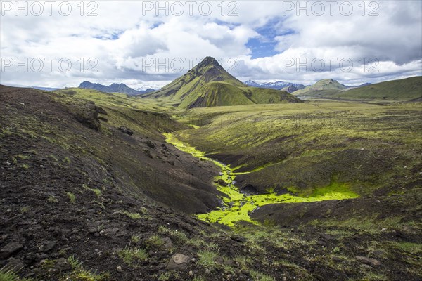 A green mountain and a river of moss on the 54 km trek from Landmannalaugar