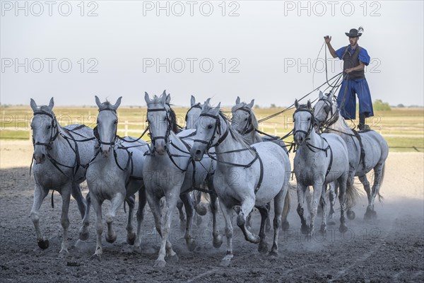 Riding demonstration