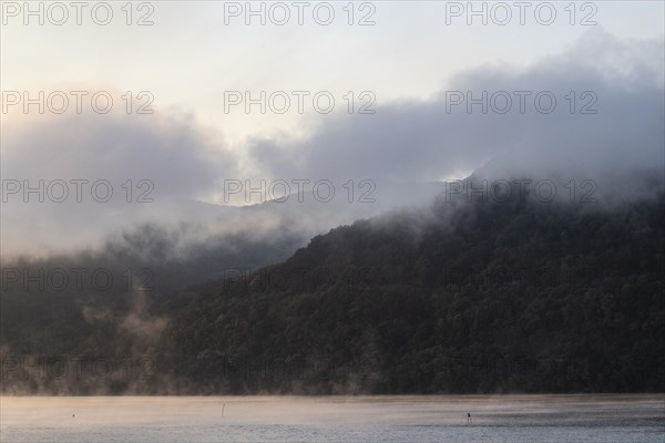 Morning Fog on the Danube