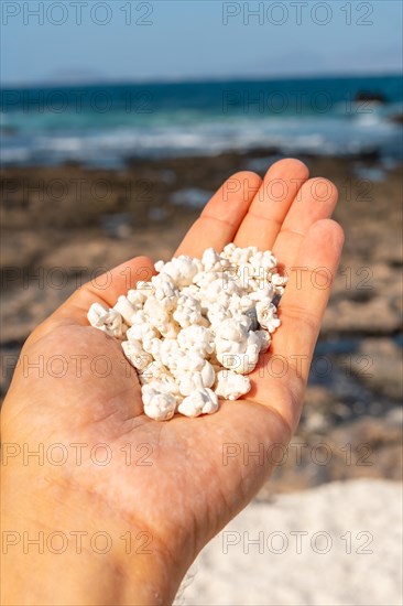 Detail of the stones of Popcorn Beach near the town of Corralejo