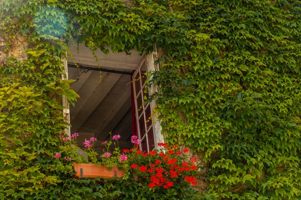 Houses full of green leaves in the medieval village of Rochefort-en-Terre