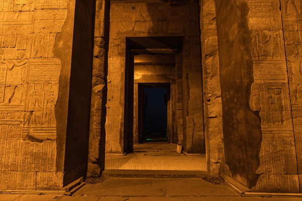 Beautiful columns of the Kom Ombo temple at night illuminated