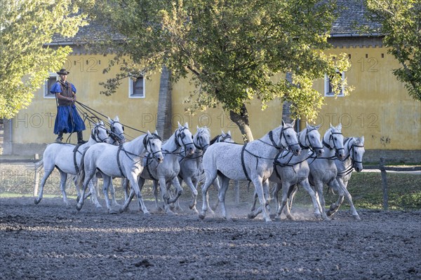 Riding demonstration