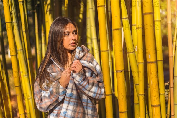 Autumn lifestyle in a bamboo forest