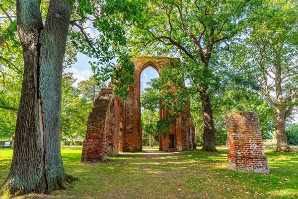 Ruin of Cistercian abbey Kloster Eldena