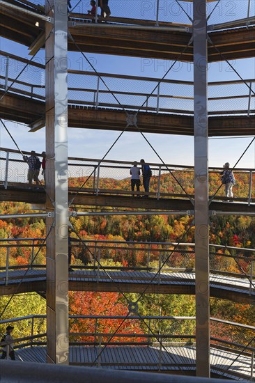 Tree top pad