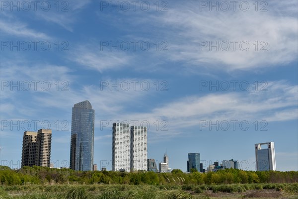 Skyline of Puerto Madero seen from Costanera Sur Nature Reserve