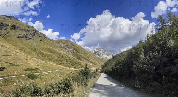 Ascent to Colle Sommeiller