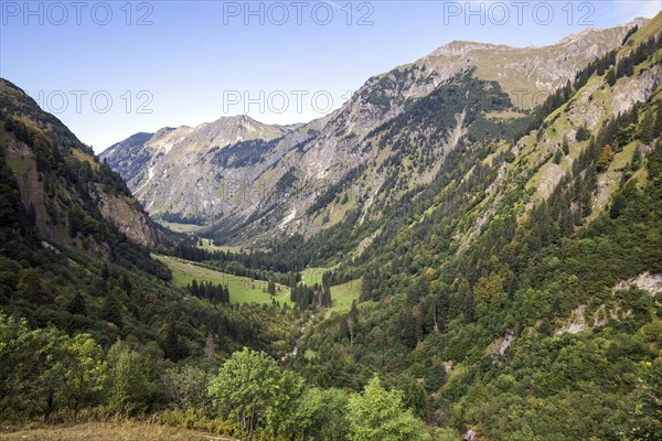 View into the Oytal