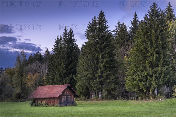 Landscape in the Allgaeu in autumn