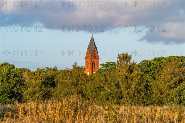 Brick tower of the Bugenhagen Church