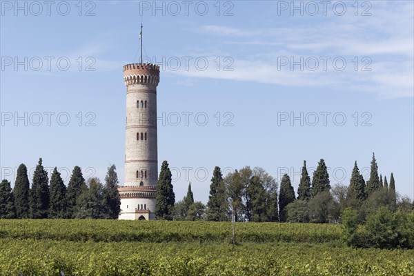 Tower of San Martino della Battaglia