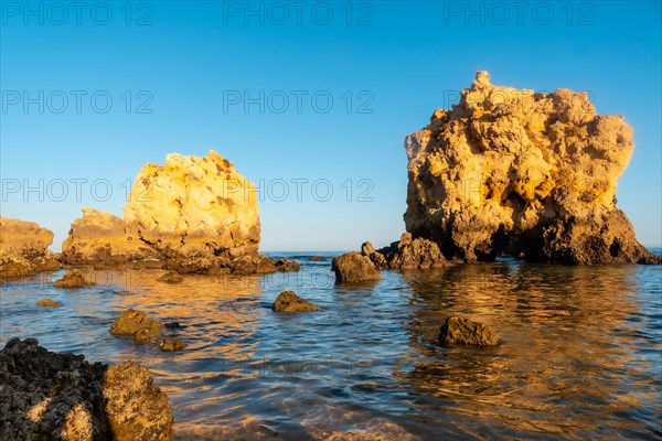 Beautiful beach in summer