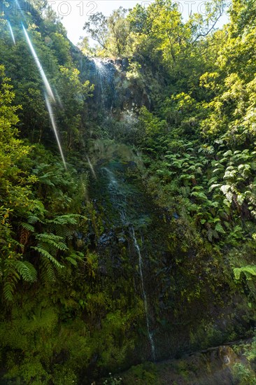 A small waterfall in summer at the Levada do Caldeirao Verde