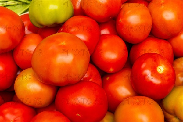 Tomatoes at the Farmers Market in the Madeira city of Funchal. Portugal