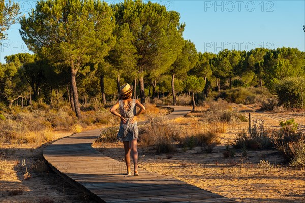 A young woman on the wooden walkway taking a walk inside the Donana Natural Park