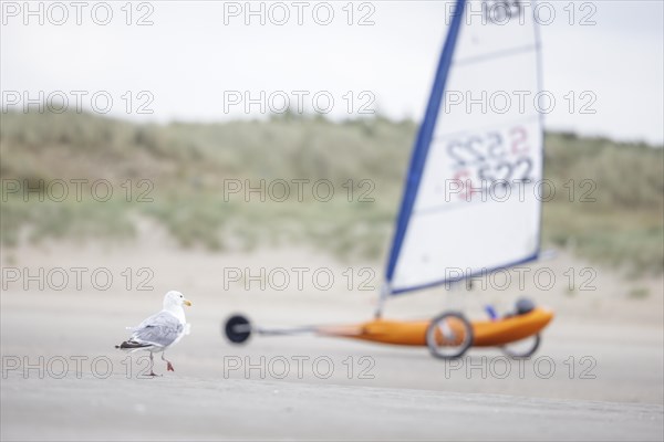 Beach sailors on the coast of De Panne