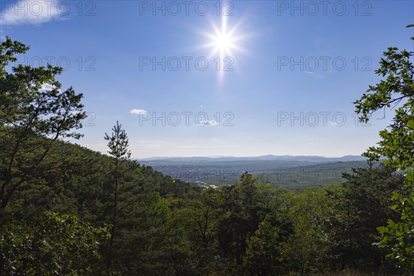 View into the Kamptal