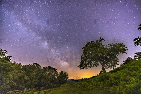 A beautiful tree under the beautiful Milky Way on Mount Erlaitz in the town of Irun