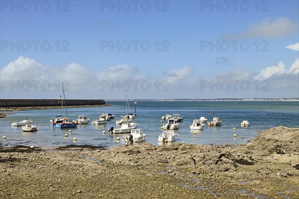 Motorboats in rocky bay