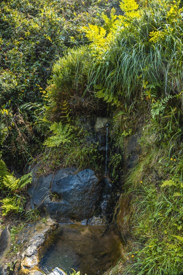 Monte Ulia in the city of San Sebastian