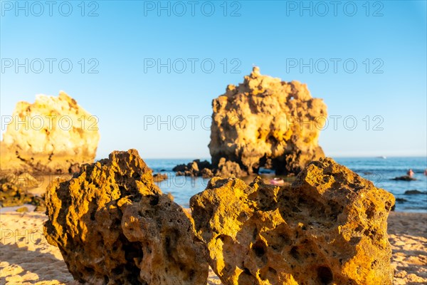 Beach in summer