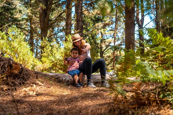 Portrait of a mother with her son sitting on a tree in nature next to pine trees