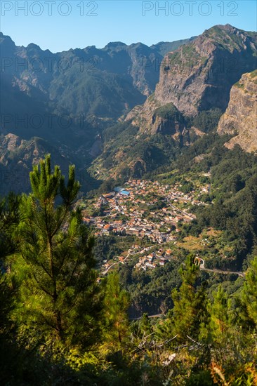 Vegetation from the Eira do Serrado viewpoint