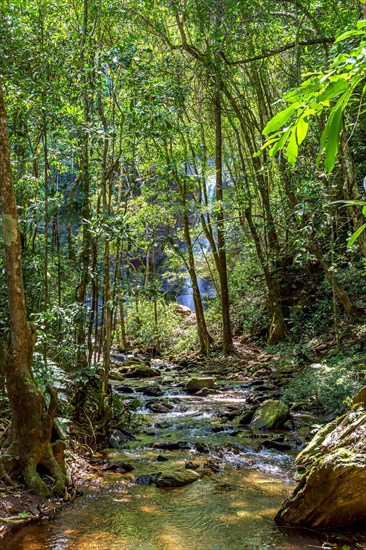 Rainforest and calm river with waterfall hidden behind trees in the state of Minas Gerais