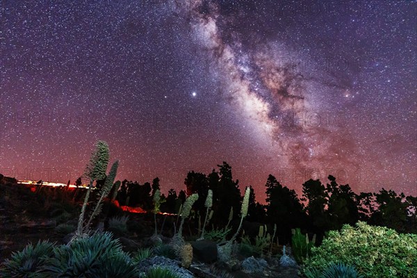 One of the best Milky Ways in the world in the Caldera de Taburiente near Roque de los Muchahos on the island of La Palma