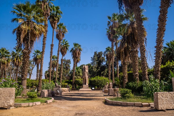 Sculpture of Pharaoh Ramses II at Memphis in Cairo