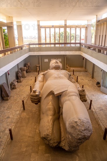 The sculpture of the Colossus of Ramses II at Memphis in Cairo