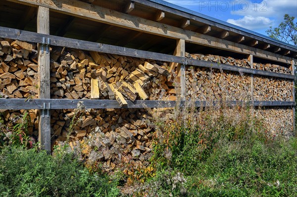 Lumberyard near Wengen in Allgaeu