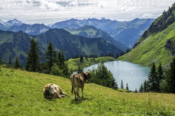 View of Seealpsee and Allgaeu Alps