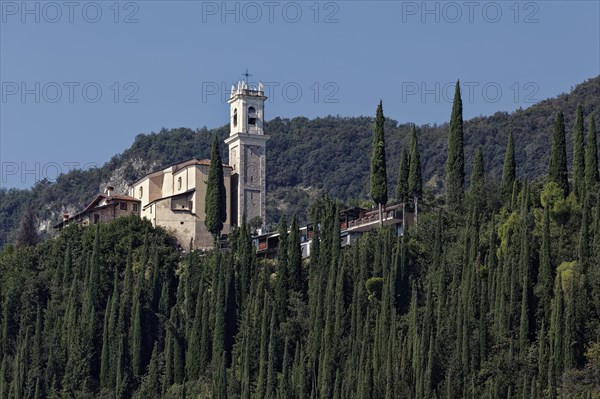 Church on a hill with cypresses