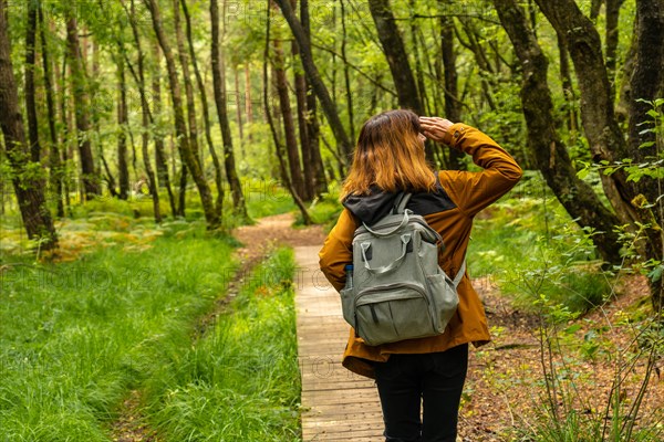 A young girl on the wooden footpath at Lake Paimpont in the Broceliande forest