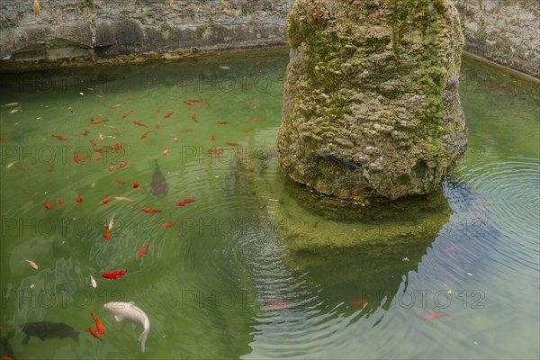 Market Fountain