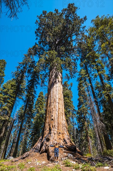 Sequoia National Park