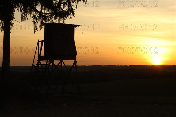 Hunter's stand silhoutte at the edge of the forest