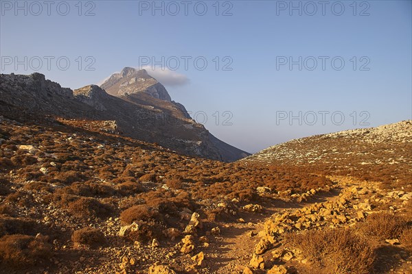 Hiking trail in the morning light