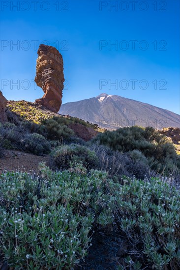 Roque Cinchado and in the background the Teide volcano in the natural area of Teide in Tenerife