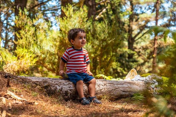 Portrait of a boy sitting on a tree in nature next to pine trees in autumn