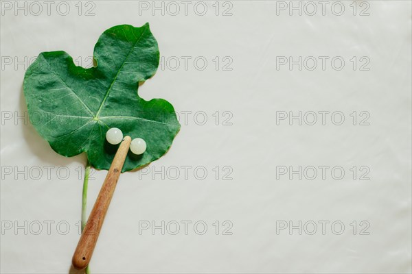 Mockup of a facial roller on a Jatropha podagrica leaf