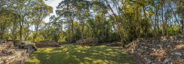 Panoramic in the temples under the trees in Copan Ruinas. Honduras