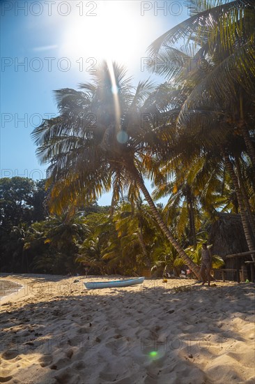 Cocalito beach in Punta de Sal and a local boat under a palm tree
