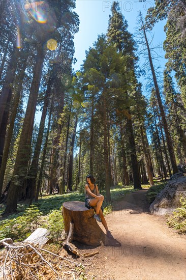 A woman in Giant trees in a meadow of Sequoia National Park