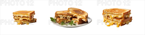 Set of delicious hot and fresh grilled cheese sandwiches isolated on a white background. generative AI