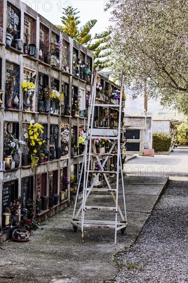 Wall with graves and ladder with wheels in a cemetery